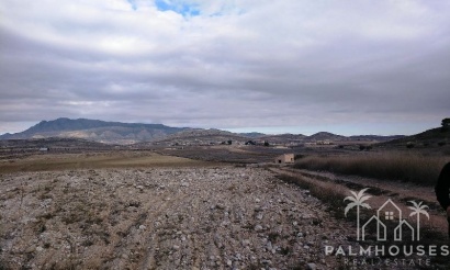 Venta - Plot - Jumilla - Torre Del Rico