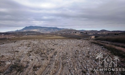 Venta - Plot - Jumilla - Torre Del Rico
