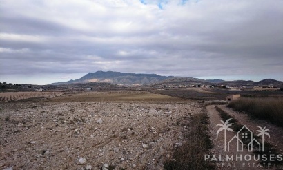 Venta - Plot - Jumilla - Torre Del Rico