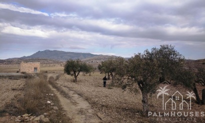 Venta - Plot - Jumilla - Torre Del Rico
