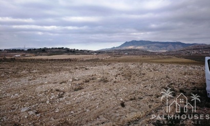 Venta - Plot - Jumilla - Torre Del Rico