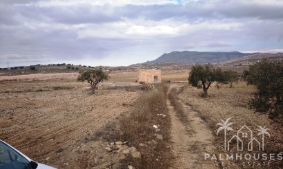 Venta - Plot - Jumilla - Torre Del Rico