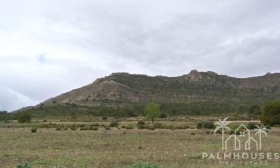Revente - Plot - Yecla - Yecla Centro