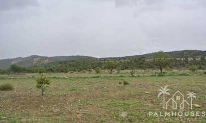 Revente - Plot - Yecla - Yecla Centro