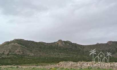 Revente - Plot - Yecla - Yecla Centro