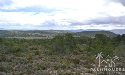 Revente - Plot - Yecla - Yecla Centro