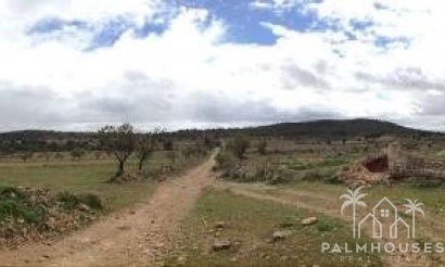 Revente - Plot - Yecla - Yecla Centro