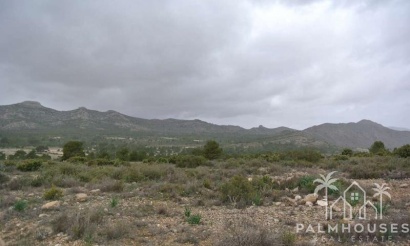 Revente - Plot - Yecla - Yecla Centro