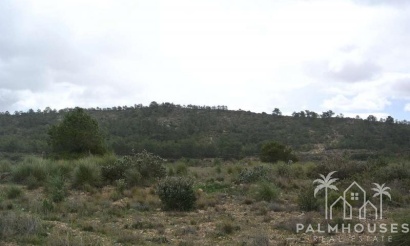 Revente - Plot - Yecla - Yecla Centro