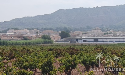 Herverkoop - Plot - Pinoso - Pinoso Centro