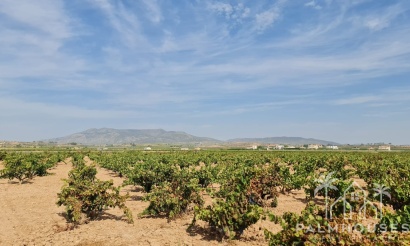 Herverkoop - Plot - Pinoso - Pinoso Centro