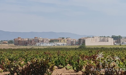Herverkoop - Plot - Pinoso - Pinoso Centro