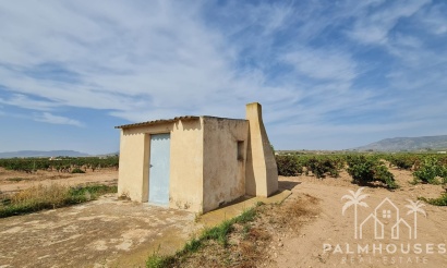 Herverkoop - Plot - Pinoso - Pinoso Centro