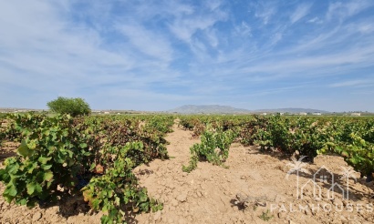 Herverkoop - Plot - Pinoso - Pinoso Centro