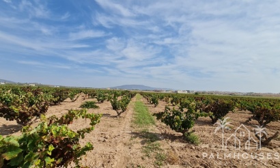Herverkoop - Plot - Pinoso - Pinoso Centro