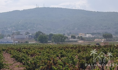 Herverkoop - Plot - Pinoso - Pinoso Centro