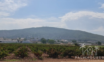 Herverkoop - Plot - Pinoso - Pinoso Centro