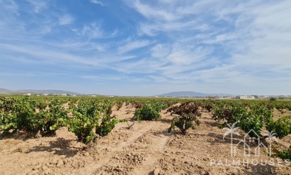Herverkoop - Plot - Pinoso - Pinoso Centro