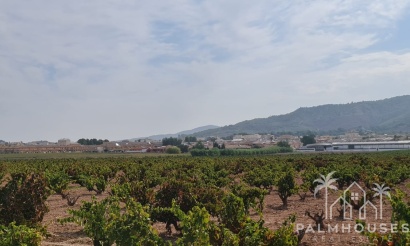 Herverkoop - Plot - Pinoso - Pinoso Centro