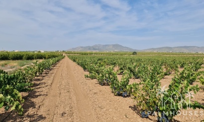 Herverkoop - Plot - Pinoso - Pinoso Centro