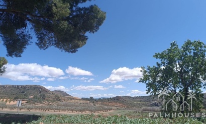 Herverkoop - Country house - Yecla - Yecla Centro