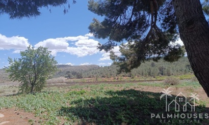 Herverkoop - Country house - Yecla - Yecla Centro