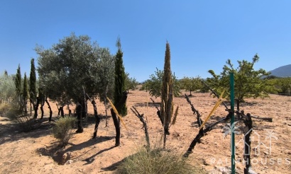 Venta - Country house - Villena - Villena Centro