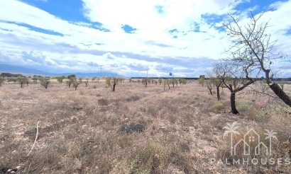 Herverkoop - Country house - Yecla - Yecla Centro