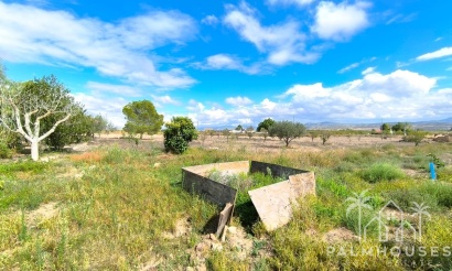 Herverkoop - Country house - Yecla - Yecla Centro