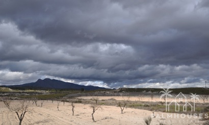 Herverkoop - Country house - Jumilla - Jumilla Centro
