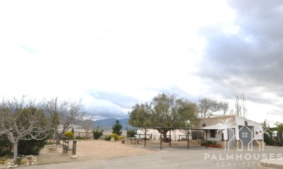 Herverkoop - Country house - Jumilla - Jumilla Centro