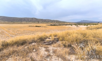 Herverkoop - Country house - Jumilla - Jumilla Centro