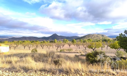 Revente - Country house - Yecla - Yecla Centro
