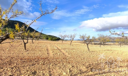 Revente - Country house - Yecla - Yecla Centro