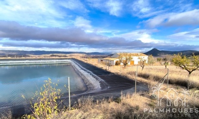 Revente - Country house - Yecla - Yecla Centro