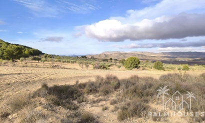 Revente - Country house - Yecla - Yecla Centro