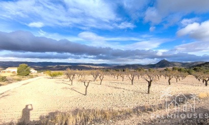 Revente - Country house - Yecla - Yecla Centro