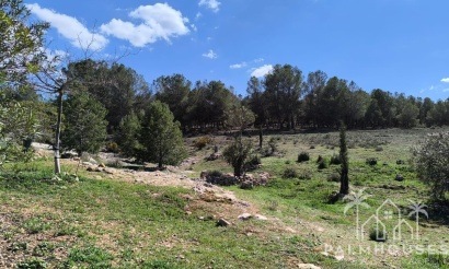 Herverkoop - Country house - Villena - Villena Centro