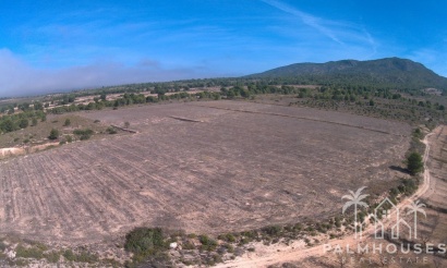 Herverkoop - Plot - Yecla - Yecla Centro