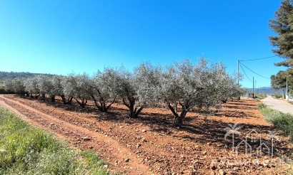 Revente - Country house - Yecla - Yecla Centro