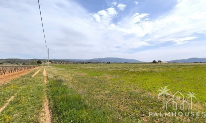 Revente - Country house - Yecla - Yecla Centro