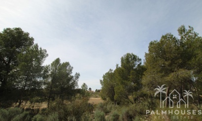 Revente - Country house - Monóvar - Monòver - Monóvar - Monòver Centro