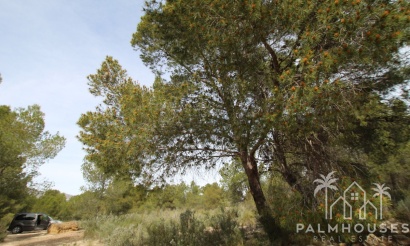 Revente - Country house - Monóvar - Monòver - Monóvar - Monòver Centro