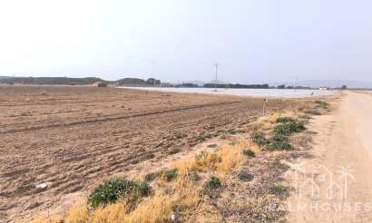 Venta - Plot - Villena - Villena Centro