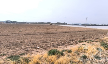 Venta - Plot - Villena - Villena Centro