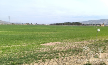 Venta - Plot - Villena - Villena Centro