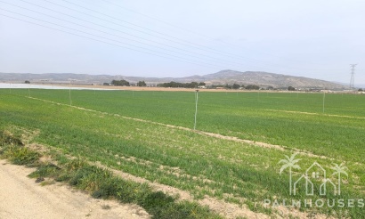 Venta - Plot - Villena - Villena Centro