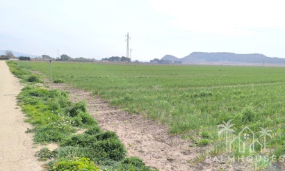 Venta - Plot - Villena - Villena Centro