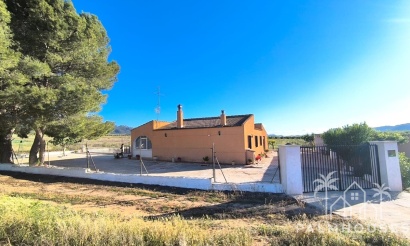 Resale - Country house - Yecla - Yecla Centro