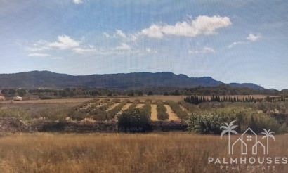 Venta - Country house - Lorca - Lorca Centro